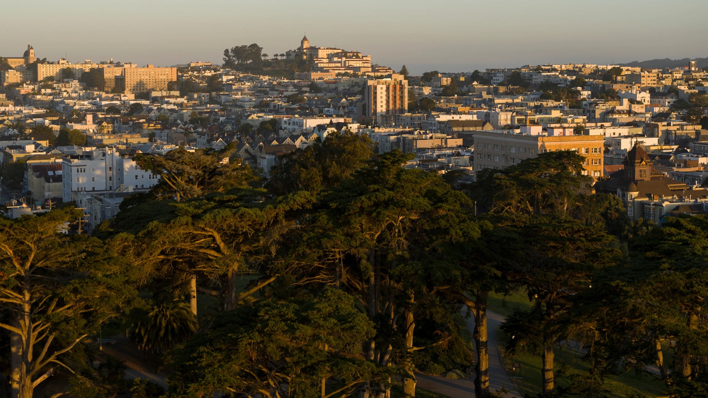 Cypress trees frame city view. Early light illuminates hillside neighborhoods of San Francisco, California.